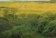 Palo Verde National Park and Tempisque River Tour